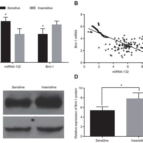 Comparison Of Mir 132 And Bmi 1 Expression In Tumor And Adjacent Normal