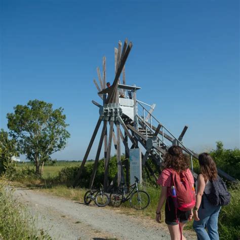 Le S Maphore De Langle Vincent Mauger Estuaire Et Sillon Tourisme