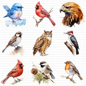 Watercolor Winter Birds Clipart Bundle Seasonal Bird Clipart Set Blue