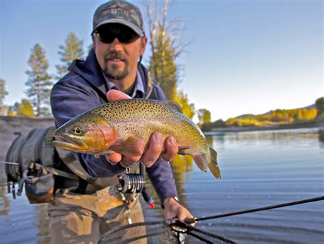 Fly Fishing Rock Creek Montana Rock Creek Fishing