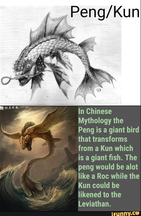 In Chinese Mythology The Peng Is A Giant Bird That Transforms From A