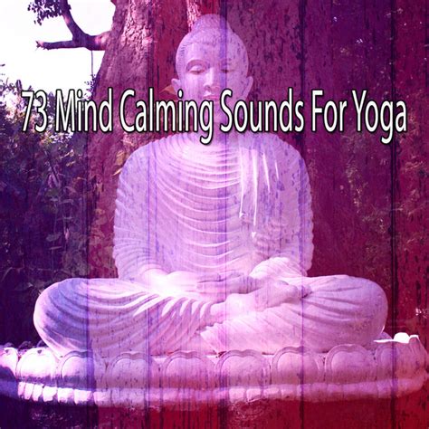 73 Mind Calming Sounds For Yoga Album By Massage Music Spotify