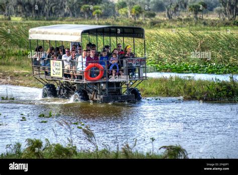 Swamp buggy florida everglades hi-res stock photography and images - Alamy