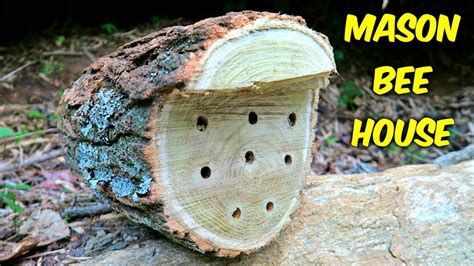 Diy Mason Bee House