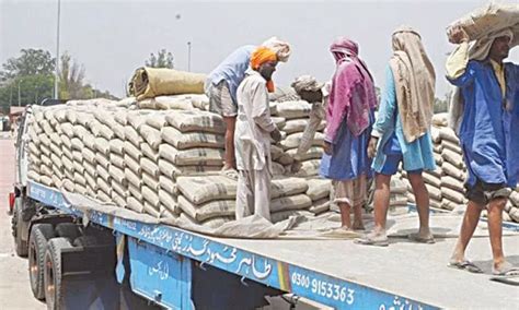 Pakistan Cement Exports Surge 49 In October 2024 AUGAF Business