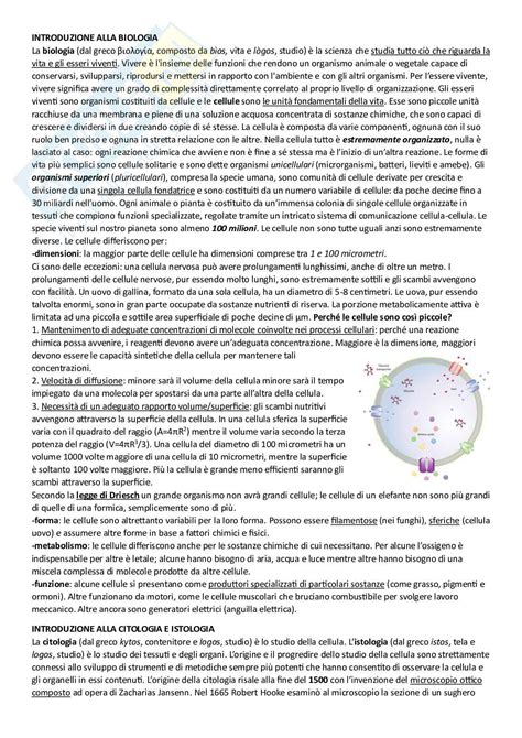 Appunti Di Citologia E Istologia Per L Esame