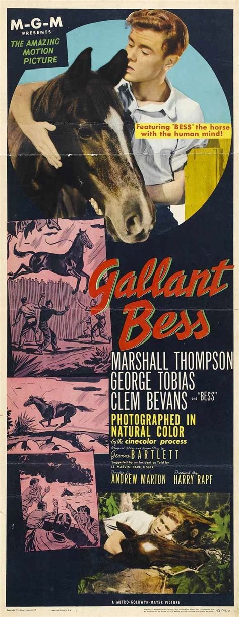 Gallant Bess 1946stars Marshall Thompson George Tobias Clem Bevans