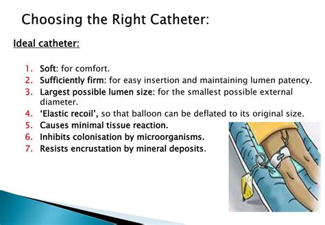 Ppt Catheterization And Catheter Care Fadi J Ehad Zaben Rn Msn Imet