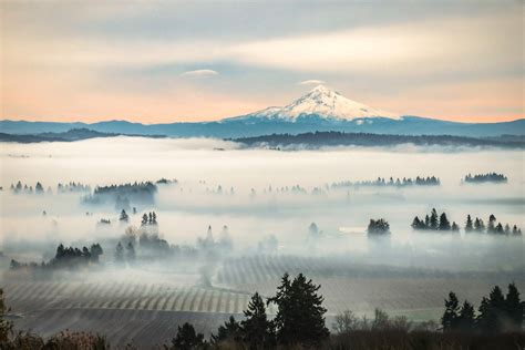 4 Chardonnay Regions You Should Know | Wine Enthusiast