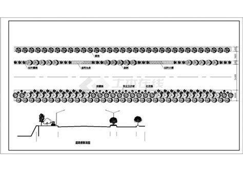 某园区道路绿化标段及横断面图纸（含道路横断面图）交通绿化土木在线