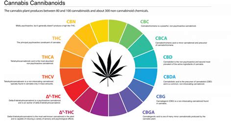 SureHire Drug Alcohol Fitness Health Testing In North America