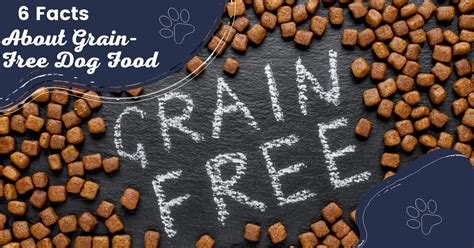 6 FACTS About Grain-Free Dog Food - I Love Veterinary