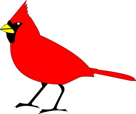 Cardinal Bird Animal · Free vector graphic on Pixabay