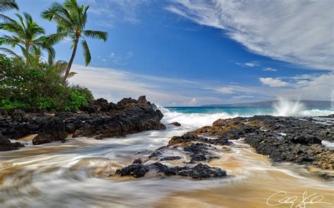 Palmy na skałach na hawajskiej wyspie Maui