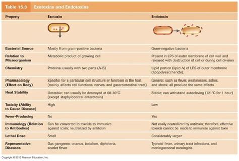 Chapter 15 Microbiology Flashcards Quizlet