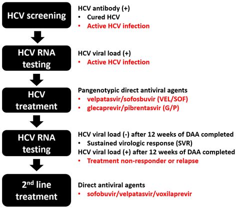 Chronic Hepatitis C Virus Infection An Ongoing Challenge In Screening