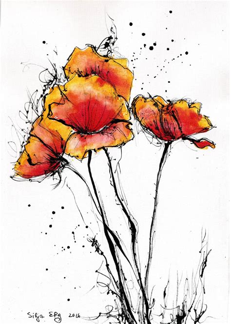 Poppy Flowers Drawing At Getdrawings Free Download