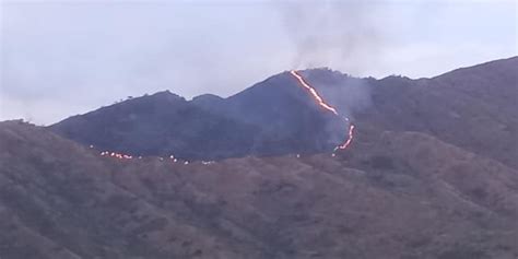 Reportan Nuevo Incendio Forestal En El Parque Henri Pittier