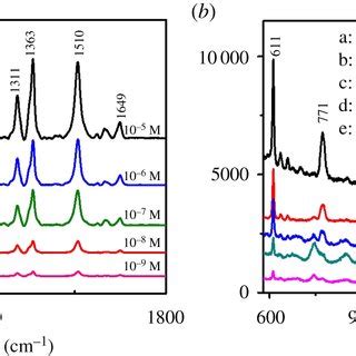 A SERS Spectra Of EC Adsorbed On Flower Shaped Silver Substrates In