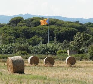 El Temps A Palam S Dilluns De Setembre Inici Del Canvi De Temps