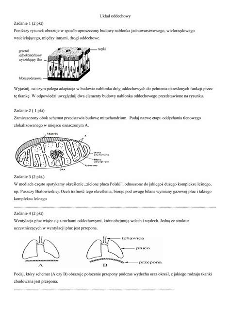 Pdf Uk Ad Oddechowy Zadanie Pkt Poni Szy Rysunek W