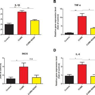 Intranasal BDNF Treatment Reduced Inflammatory Associated Gene