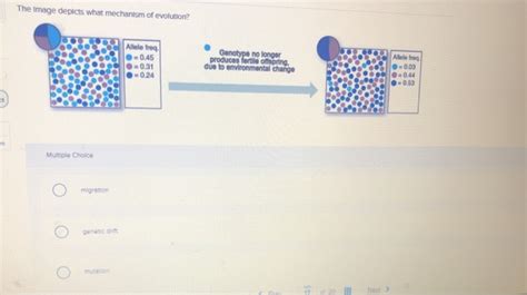 Solved The Image Depicts What Mechanism Of Evolution Allele Chegg