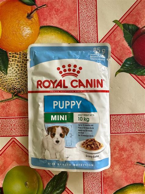 ROYAL CANIN PUPPY WET FOOD, Pet Supplies, Pet Food on Carousell