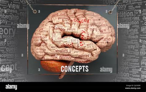 Concepts In Human Brain Dozens Of Important Terms Describing Concepts