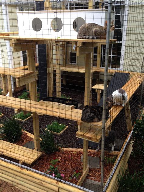 Custom Build Catio