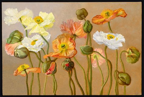 Jane Wormell Icelandic Poppies Jonathan Cooper