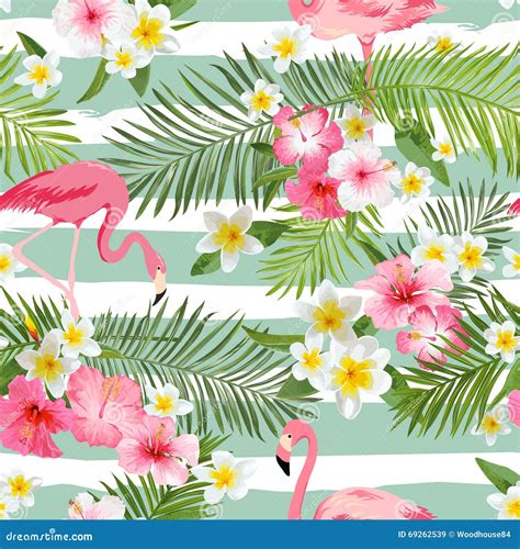 Flamingo Background Design Tropical Flowers Illustration Fashion