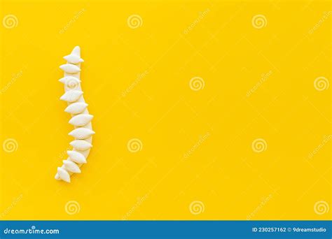 Anatomical Human Spine Skeleton Model. Spinal Health and Diseases Concept Stock Photo - Image of ...