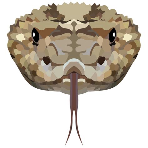 Head Of A Rattlesnake The Portrait Of A Poisonous Snake Is Depicted On