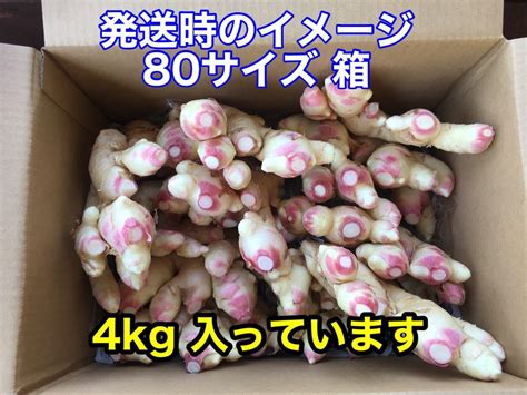 新生姜 4kg 生育中農薬不使用｜paypayフリマ