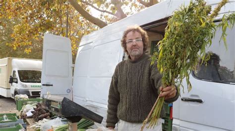 Hanfanbau in der Region Stuttgart Wie ein Biobauer für umstrittene