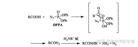 肽键的合成方法 知乎