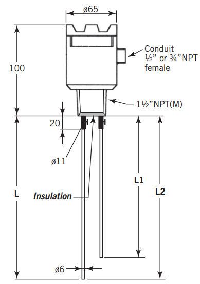 Conductive Level Switch For Liquids Multi Point Flange RITM