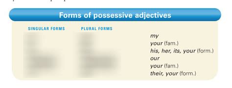 Possessive Adjectives Diagram Quizlet