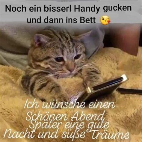 Pin Von Heike Wahrn Auf Gute Nacht Katzen Gute Nacht Lustig Gute