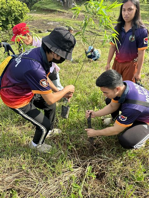 TREE PLANTING ACTIVITY