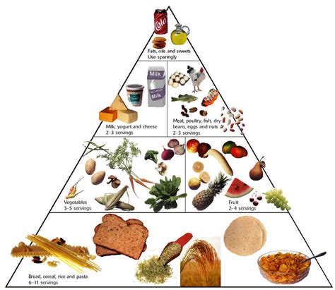 French Food Pyramid Food Pyramid