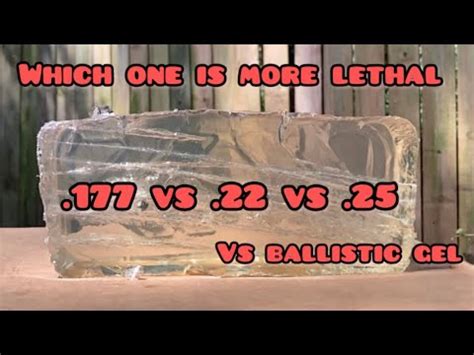 177 22 25 Airguns Vs Ballistic Gel YouTube