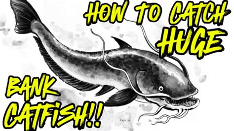 This Is How To Catch Huge Catfish From The Bank Catfishing Tips Youtube