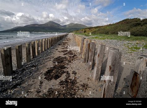 Murlough Nature Reserve Beach Sand Dunes Groynes Groins Slieve Donard