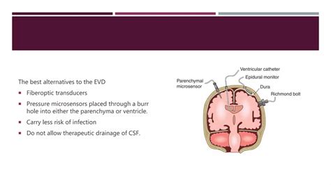 Intracranial Pressure Ppt