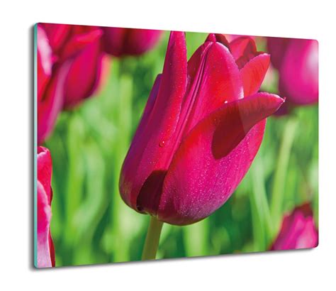 Szklana Splashback Druk Tulipany Pole S O Ce X Artprintcave