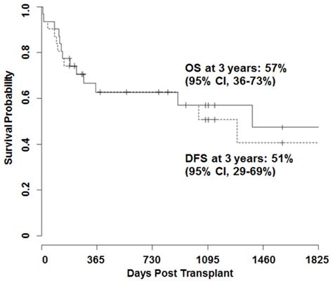 Overall Survival Os And Disease Free Survival Dfs Download Scientific Diagram