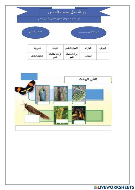 ورقة عمل سادس ابتدائي Online Exercise For Live Worksheets