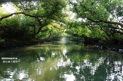 【台南景點】四草綠色隧道 ♥ 台灣袖珍版亞馬遜河 搭膠筏悠遊綠色隧道賞美景 豐富有趣親子生態之旅 台江國家公園旅遊walkerland窩客島